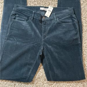 NWT LOFT corduroy pants size 8 blue